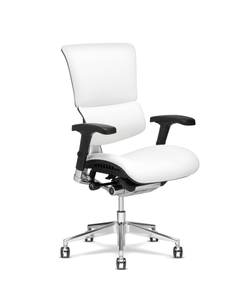 X Chair Series - Lizell Redefining Your Workspace