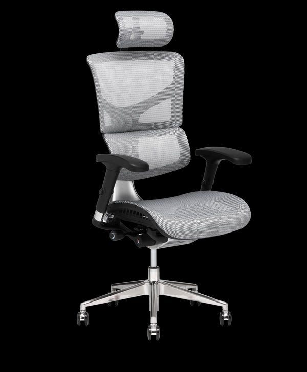 Shop X-Chair Office Chairs and Accessories