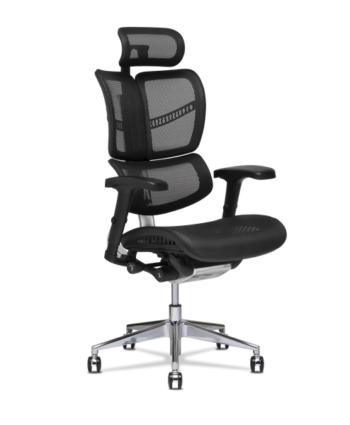 XG-Wing Split-Back Office Chair | X-Chair Official Site